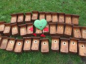 Budkyracek_2 Budkyracek_2